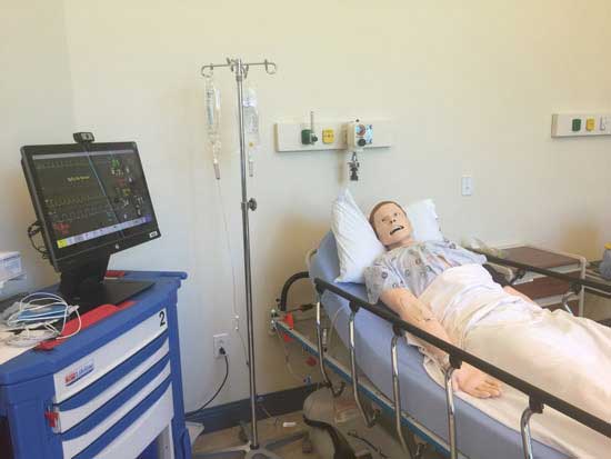 General Surgery Simulation